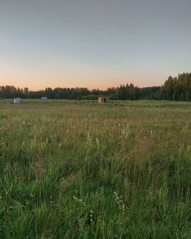 земля снт тер.Родные просторы Архангельск фото