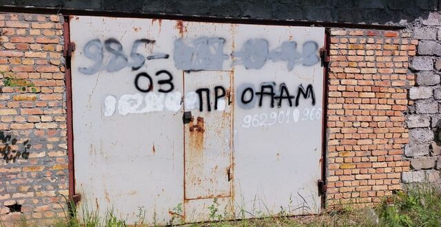 тер Ларцевы Поляны фото