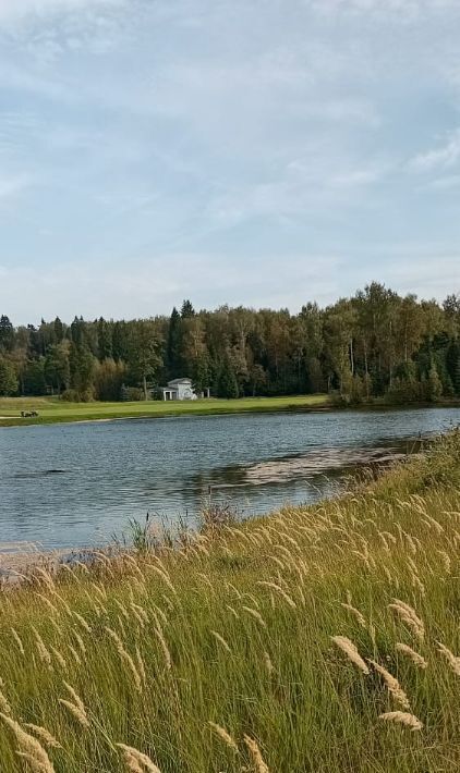 дом городской округ Дмитровский Борьба СНТ, ул. Красная Роза фото 10