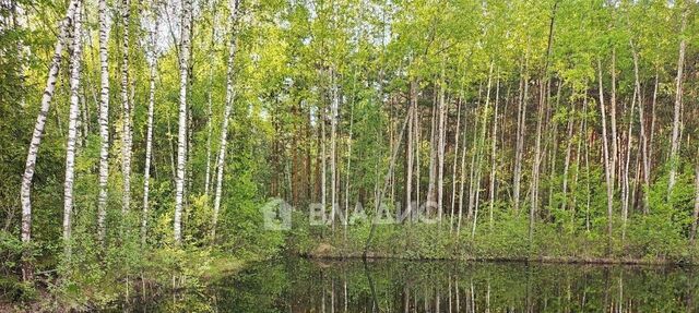 ул Княжеская Удельная фото