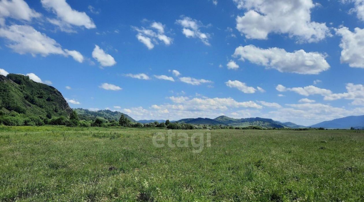 земля г Бийск фото 3