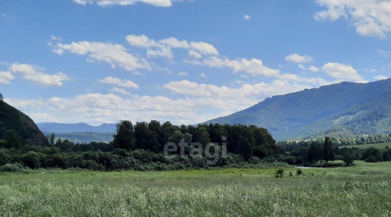 земля г Бийск фото 6