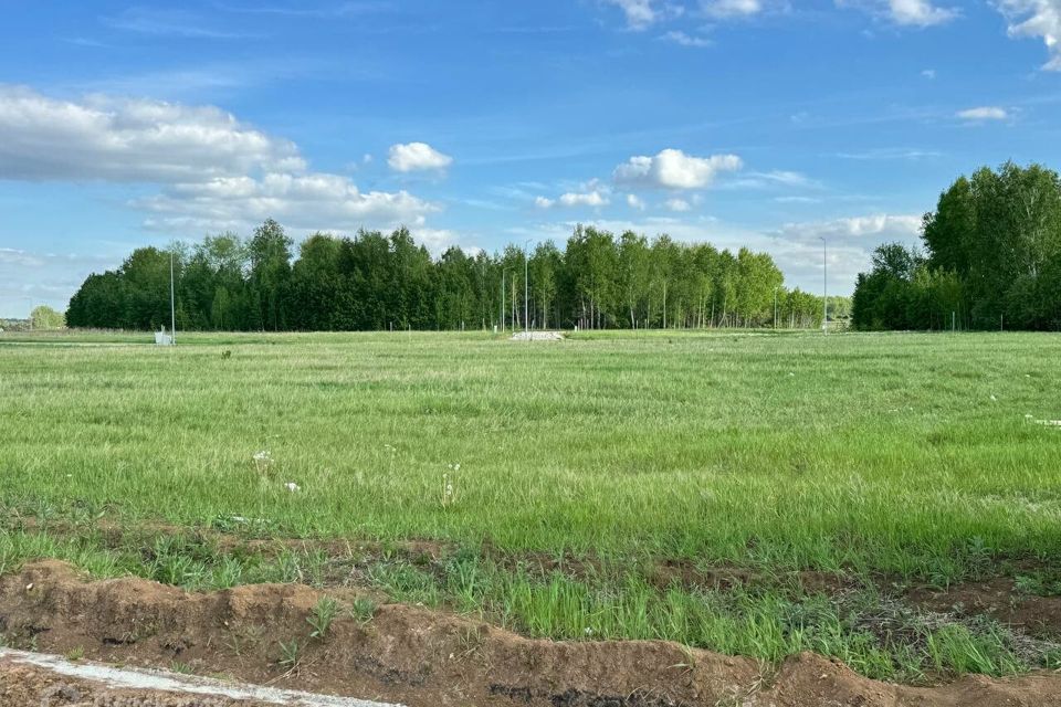 земля р-н Тюменский ДПК Новокаменский, Коттеджный посёлок Новокаменский фото 2