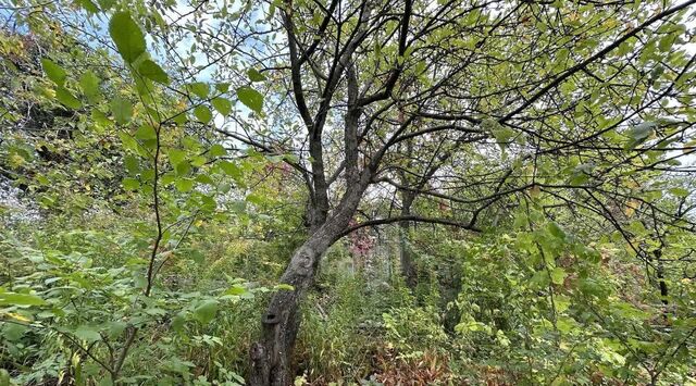 земля р-н Нижегородский ТСН, Ракета фото