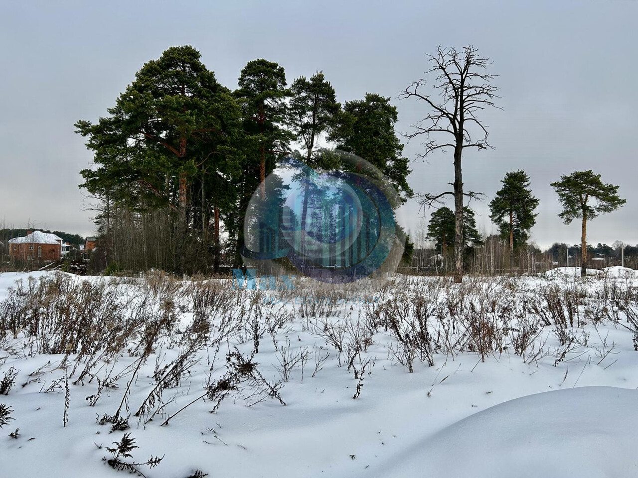 земля городской округ Ленинский д Суханово фото 10