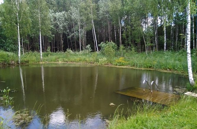 дом городской округ Солнечногорск д Скородумки снт Русь 41 км, Солнечногорск, Пятницкое шоссе фото 19