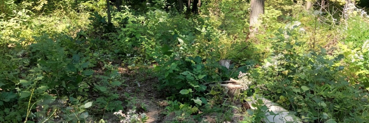 земля г Владивосток р-н Советский снт Солнечное 52 фото 3