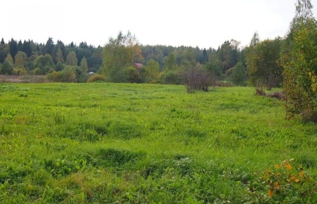 д Петровка ул Центральная Новоурсаевский сельсовет, Бакалы фото