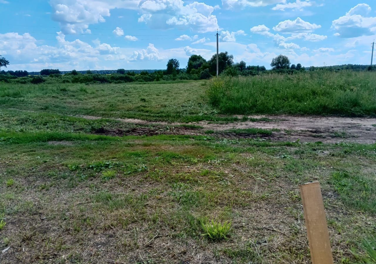 земля р-н Искитимский рп Линево ул Вокзальная 6 городское поселение Линёво фото 16