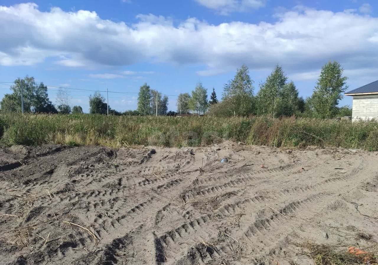 земля г Тюмень р-н Центральный садовое товарищество нка, ул. Мичуринцев фото 20