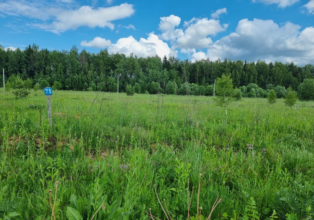 земля городской округ Можайский 9814 км, коттеджный пос. Рублёво, Можайск, Минское шоссе фото 8