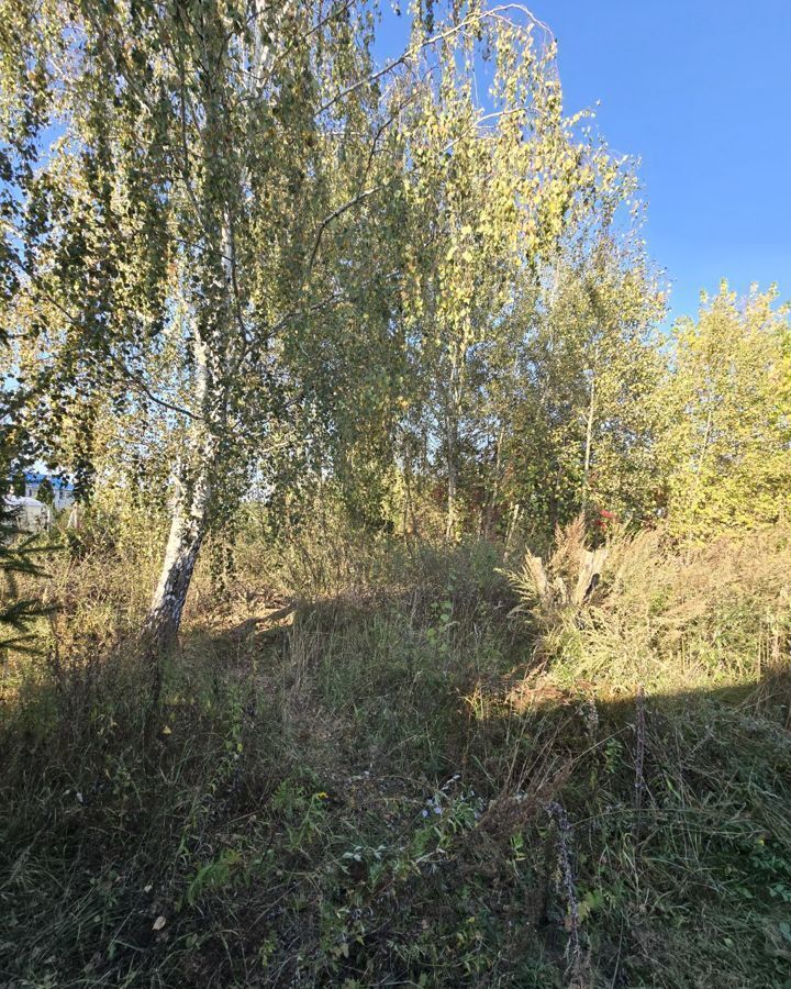 земля г Домодедово д Истомиха 9743 км, Володарского, Новокаширское шоссе фото 4