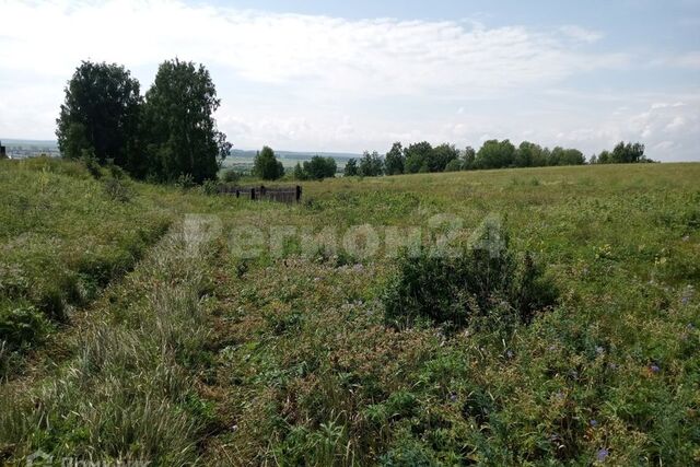 земля п Емельяново Центральный парк Емельяновского района фото