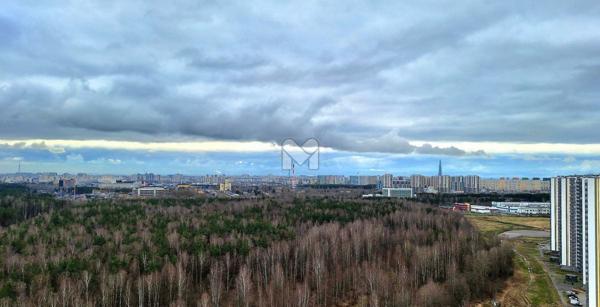 квартира г Санкт-Петербург метро Проспект Просвещения наб Реки Каменки 13к/1 фото 34