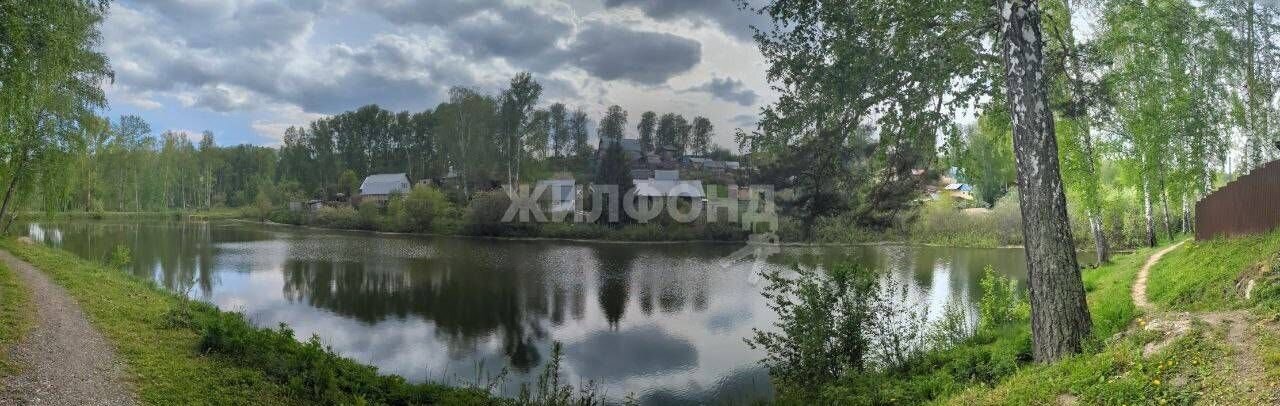 дом р-н Новосибирский Раздольненский сельсовет, садоводческое товарищество Медик, Новосибирск фото 2