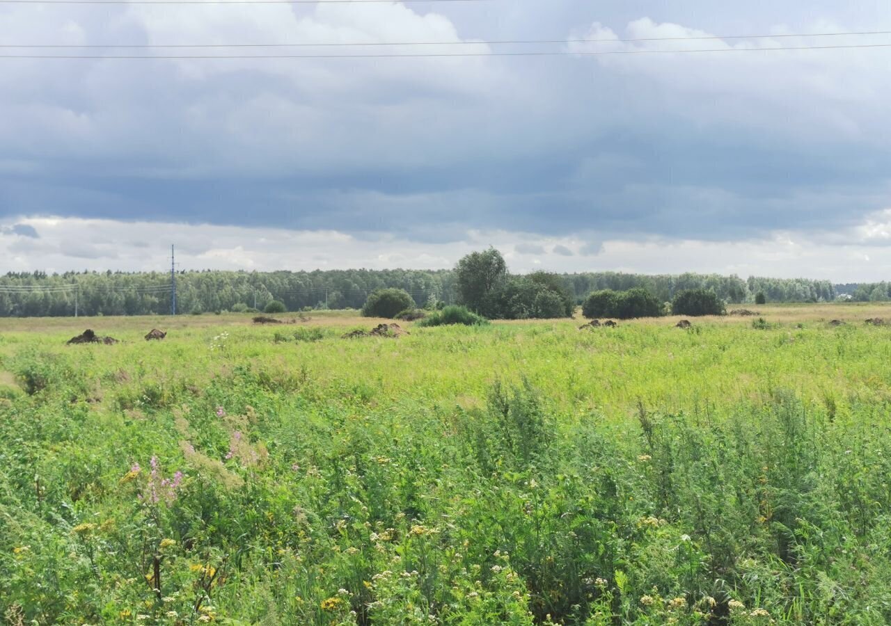 земля городской округ Люберцы рп Томилино ш Егорьевское 9731 км, Люберцы, Егорьевское ш фото 11