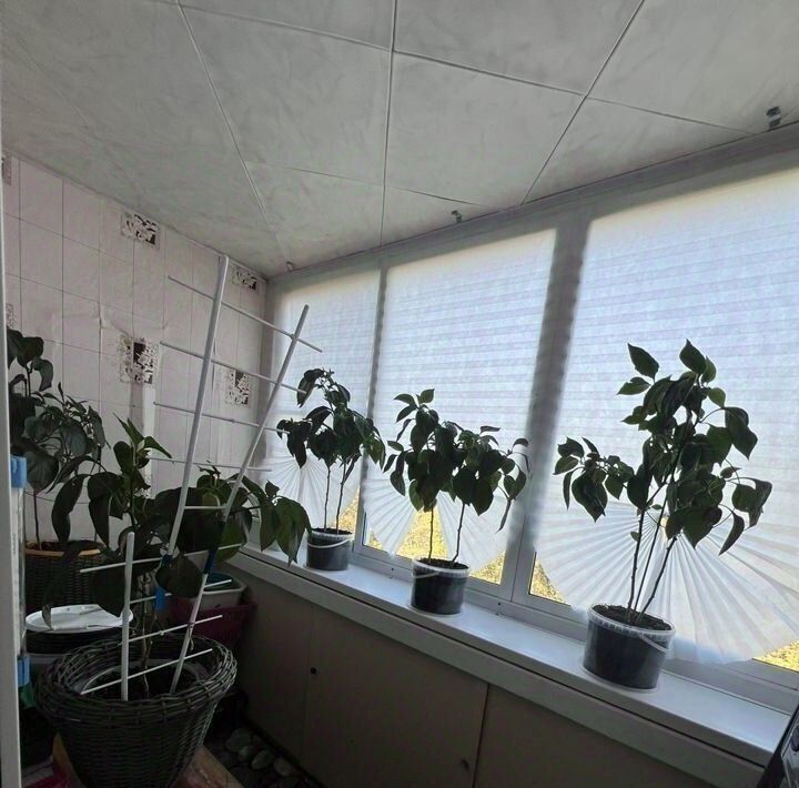 квартира г Саратов р-н Заводской ул Барнаульская 22/30 фото 14
