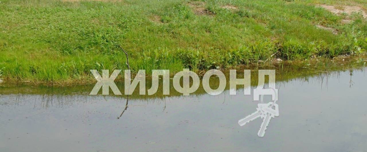 дом р-н Ордынский д Поперечное ул Комсомольская фото 48