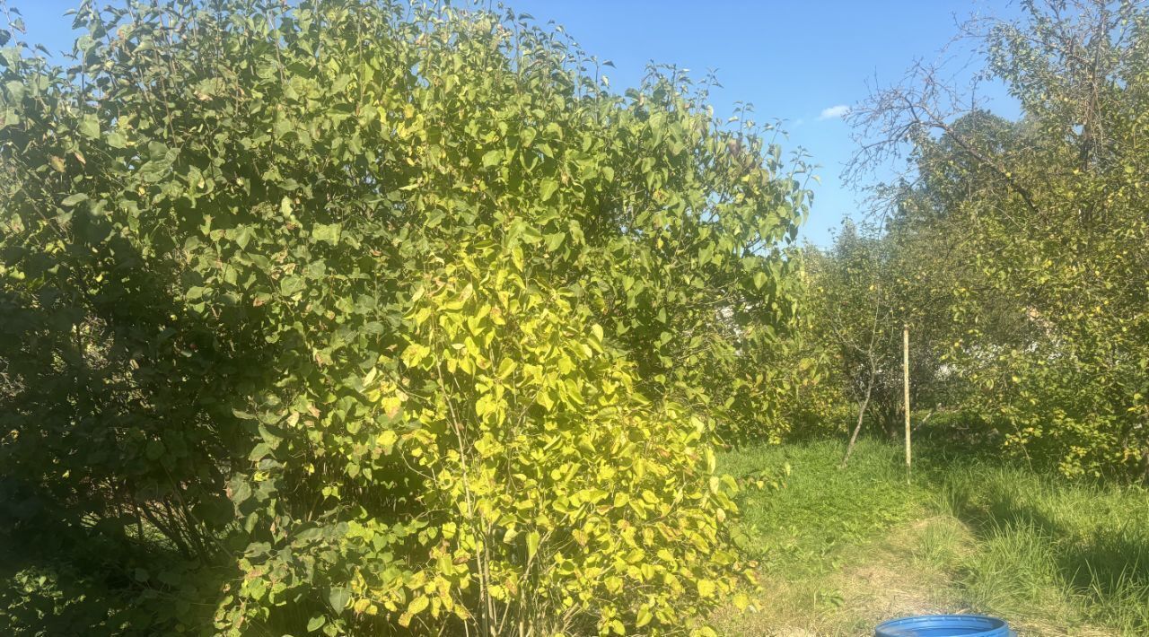 земля городской округ Наро-Фоминский г Апрелевка ул 1-я Луговая 8 Апрелевка фото 6