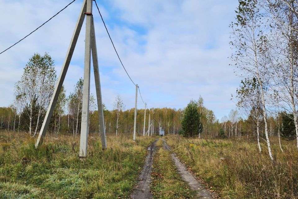 земля р-н Новосибирский фото 8