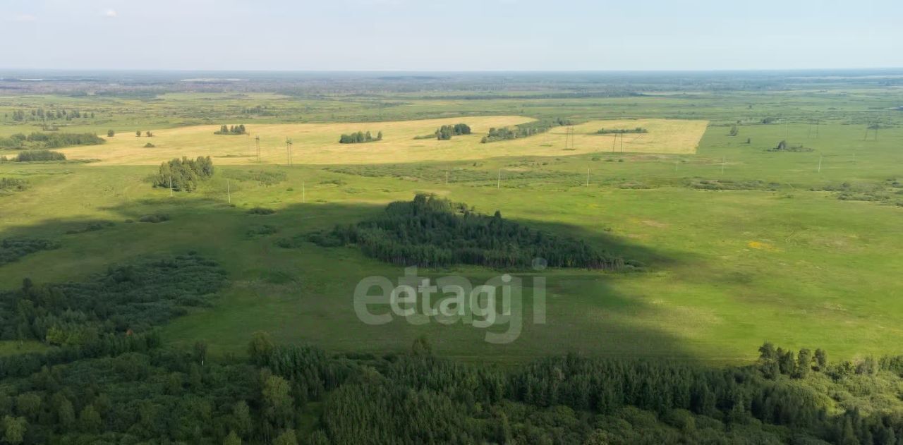 земля р-н Тюменский с Яр фото 11