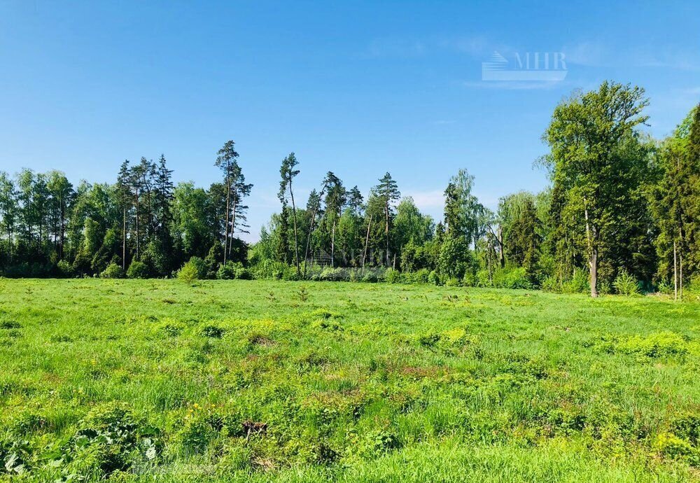 земля городской округ Одинцовский д Таганьково 9744 км, 35, Горки-10, Рублёво-Успенское шоссе фото 2