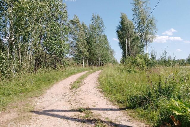 земля р-н Батецкий садово-огородническое товарищество Раглицы фото