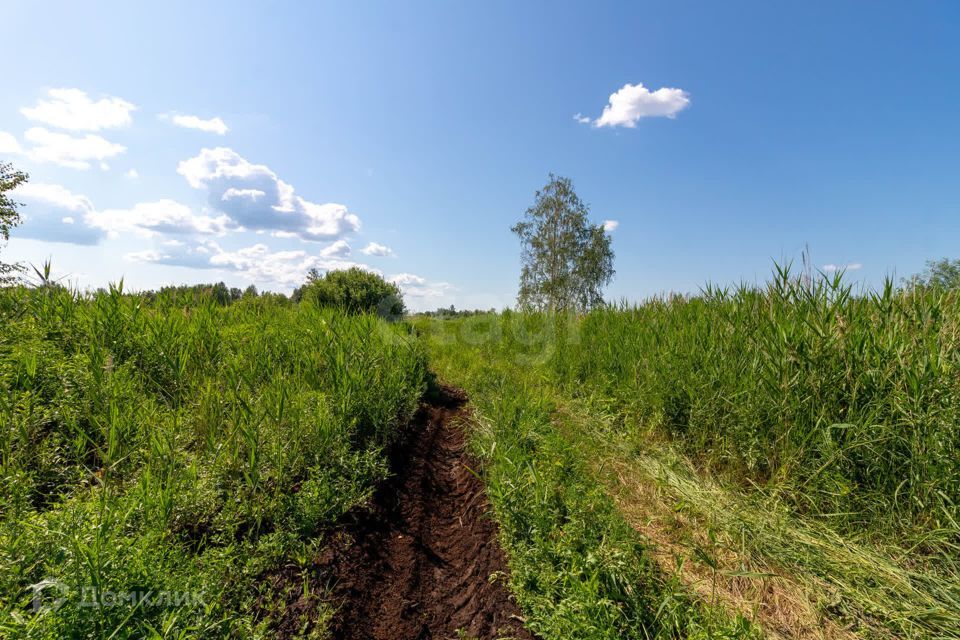 земля г Тюмень городской округ Тюмень, Центральный фото 4