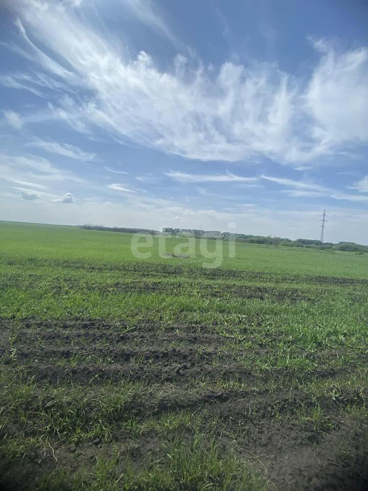 земля г Юрга пер Шоссейный фото 3