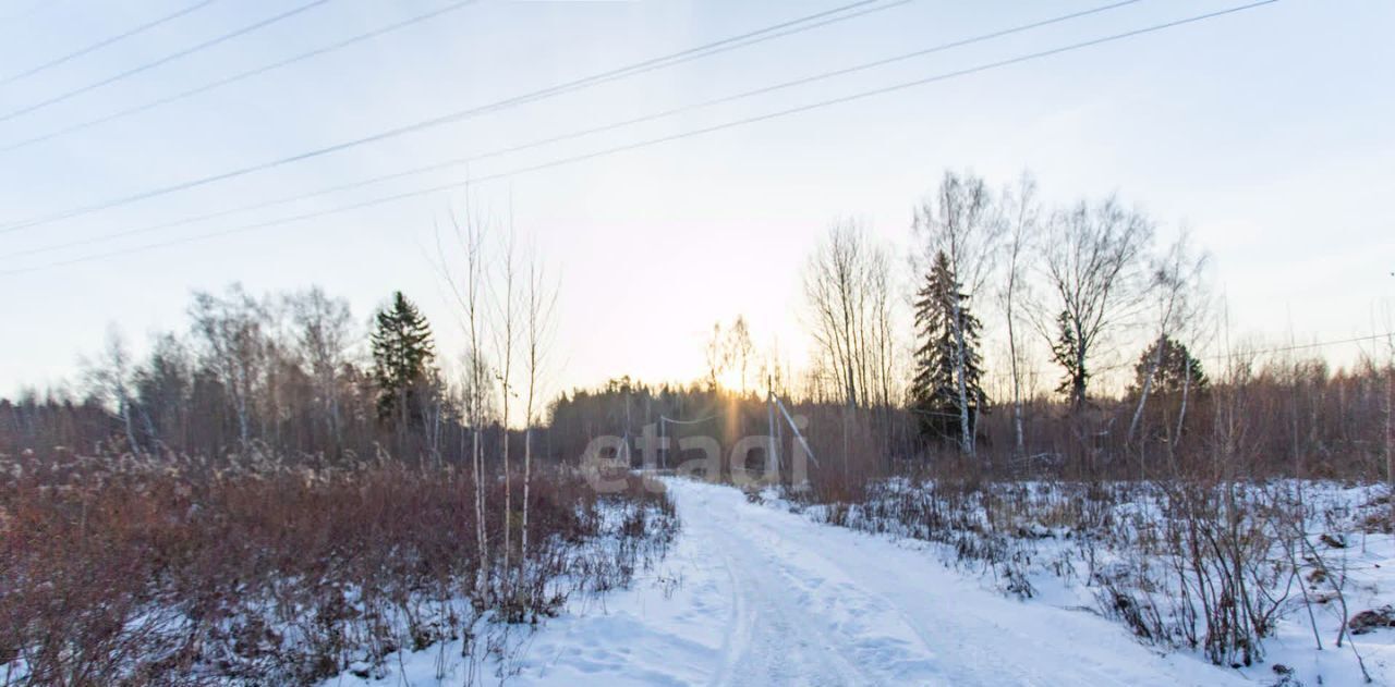 земля г Тобольск д Защитино фото 15