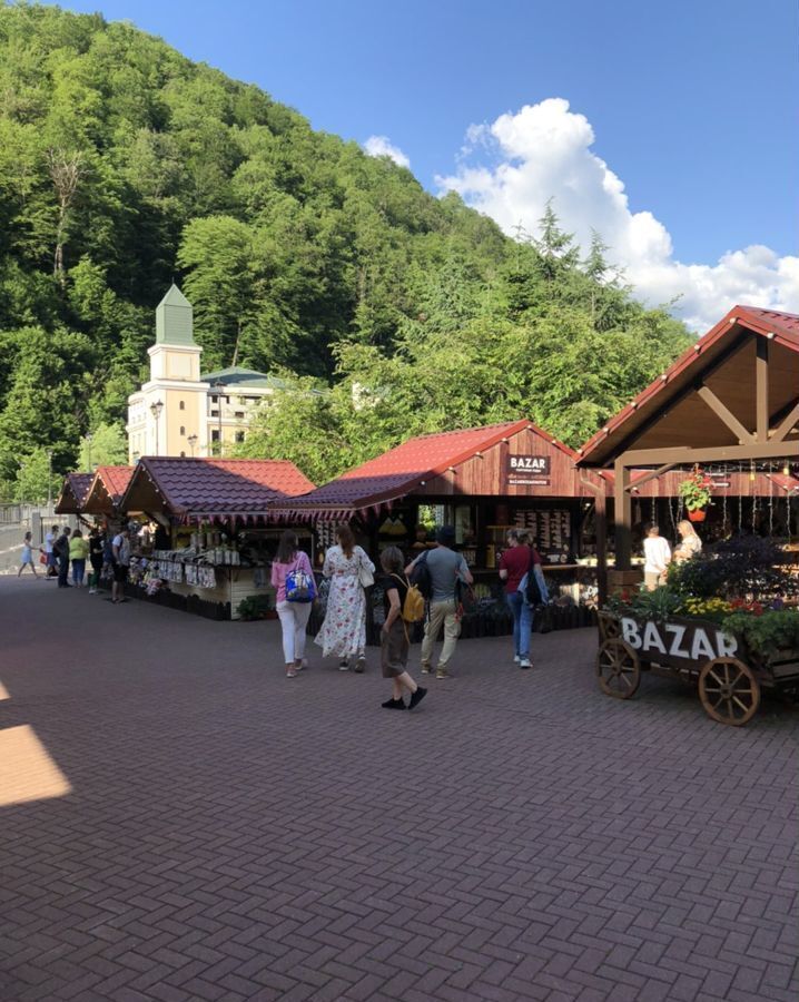 торговое помещение г Сочи р-н Адлерский с Эстосадок наб Лаванда 3 фото 2