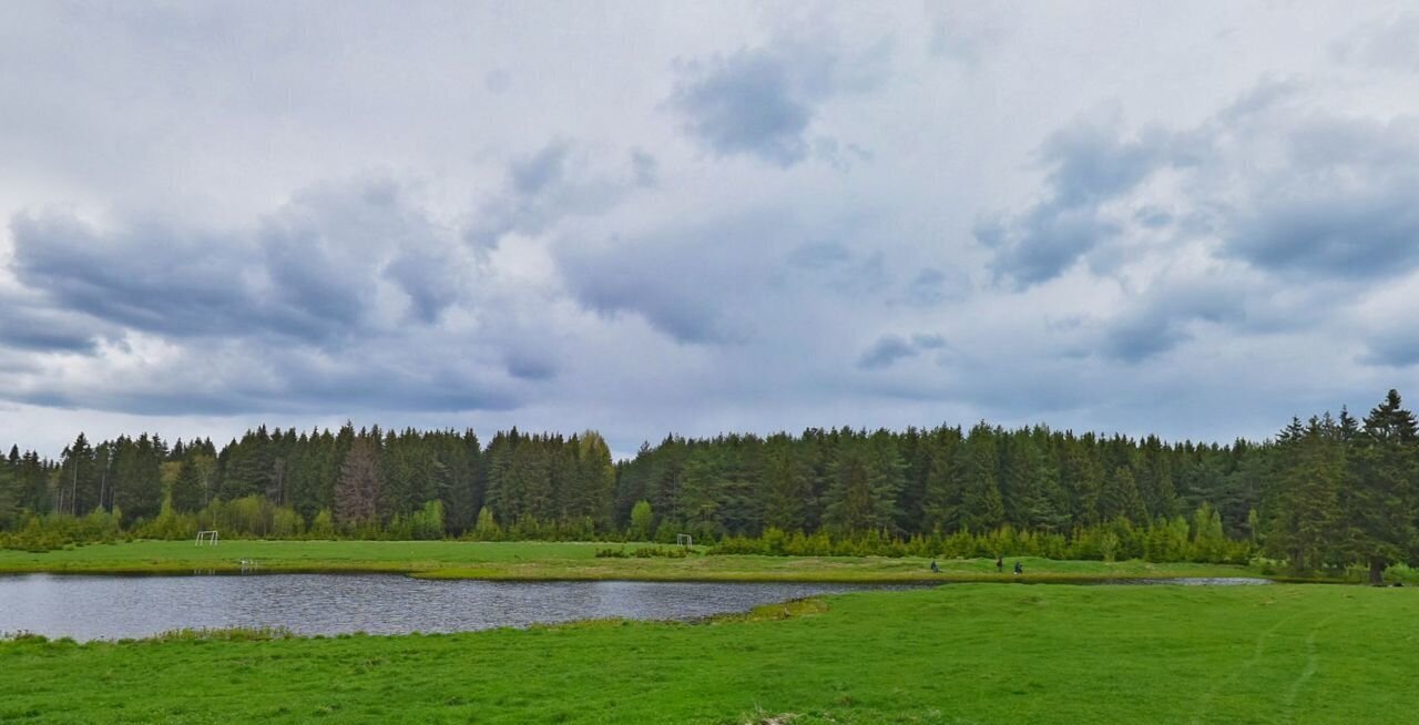 земля городской округ Сергиево-Посадский с Бужаниново 9792 км, Краснозаводск, Ярославское шоссе фото 3