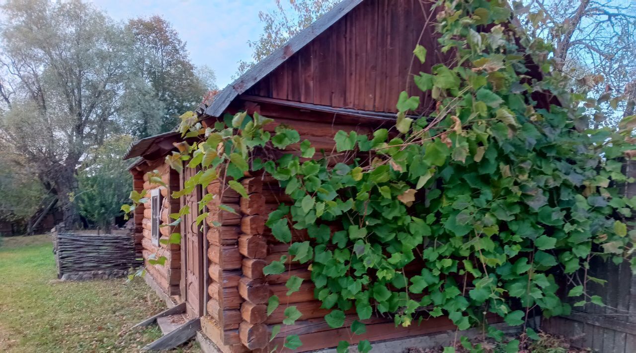 дом городской округ Шаховская д Лукошкино ул Центральная фото 30