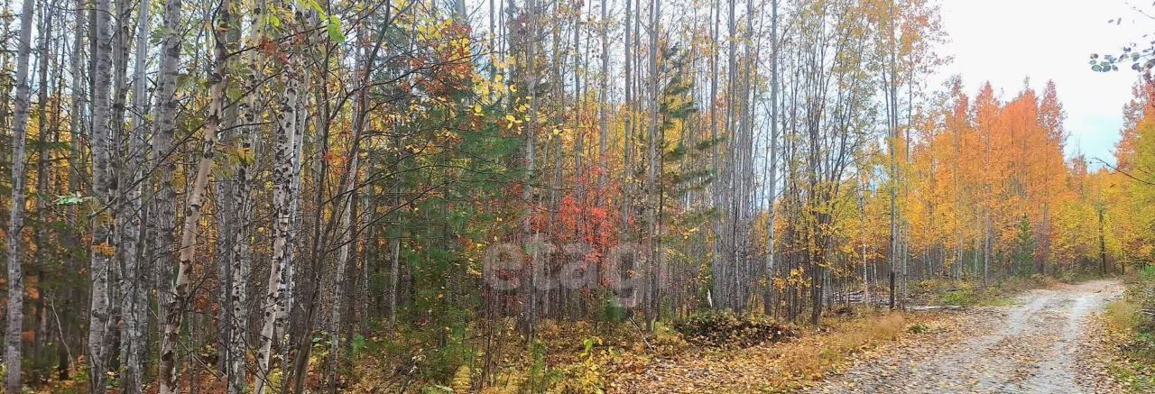 земля г Ханты-Мансийск снт Виктория СОНТ, 2 фото 5