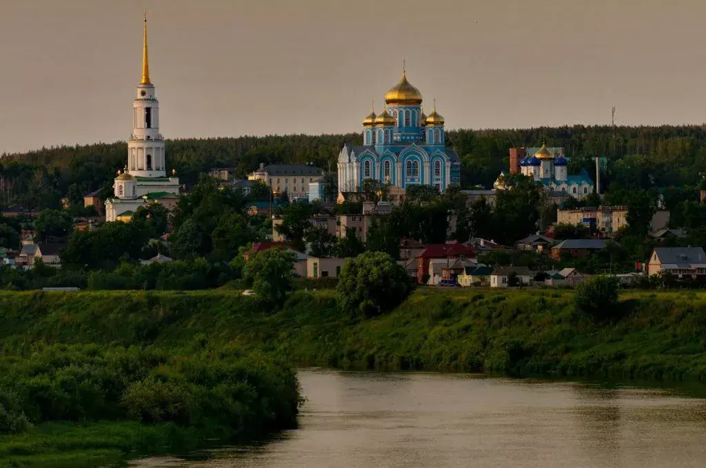 дом р-н Задонский д Крюково ул Свободы 14 Задонск фото 19