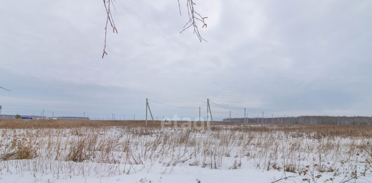 земля р-н Нижнетавдинский Деревня Малый хут., ул. Дорожная фото 13