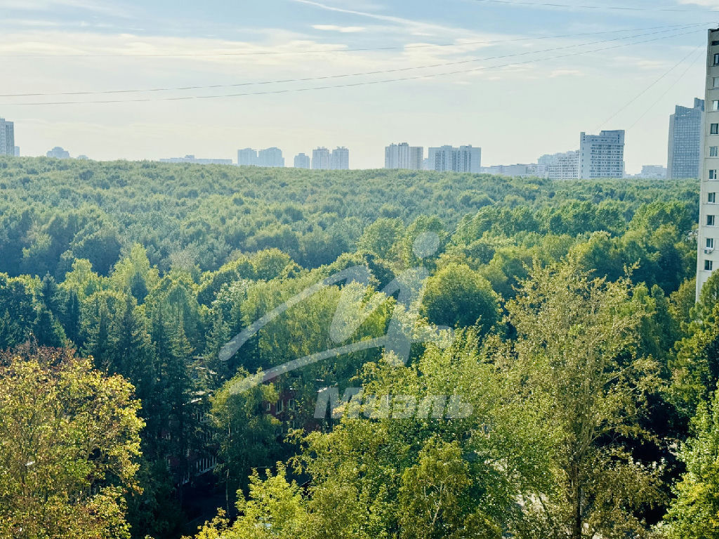 квартира г Москва метро Университет ул Обручева 22 дружбы народов фото 20