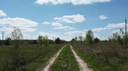 земля р-н Зеленодольский с Уразла ул Дружбы 5 Большеякинское с/пос фото 4