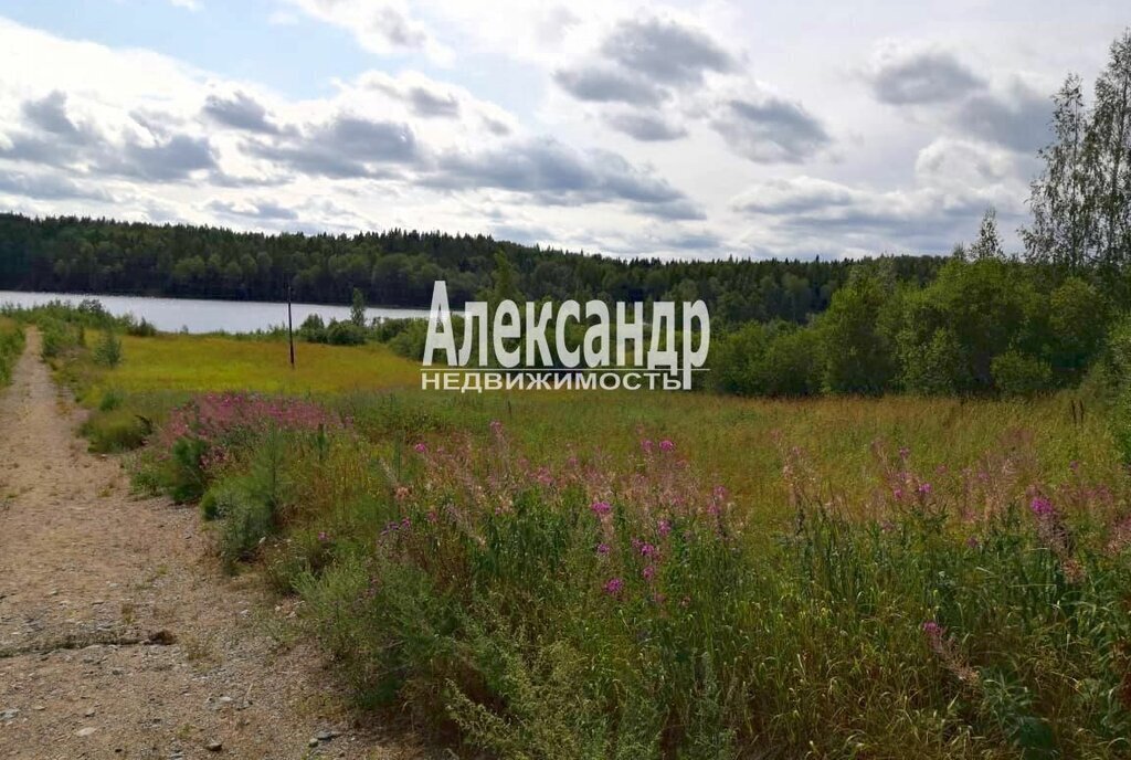 земля р-н Лахденпохский Хийтольское сельское поселение фото 2