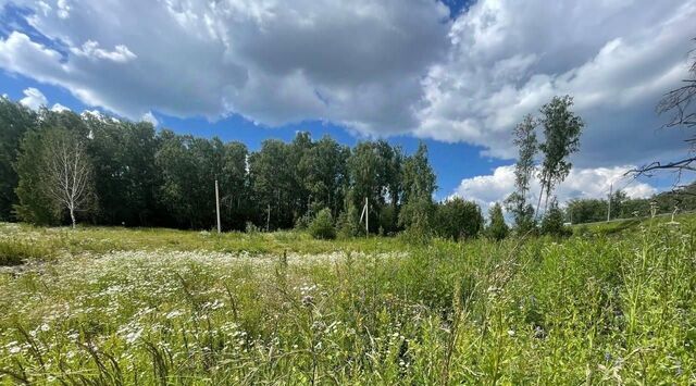 Старые Химки ш Вашутинское фото