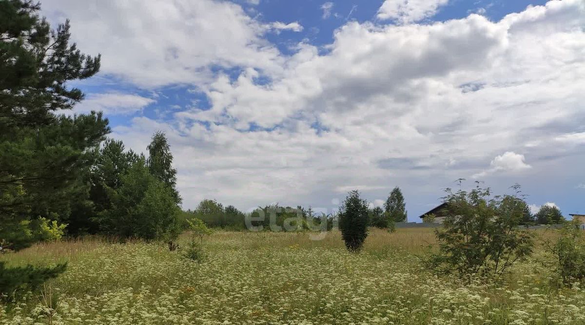 земля р-н Завьяловский д Старый Чультем ул Луговая фото 2