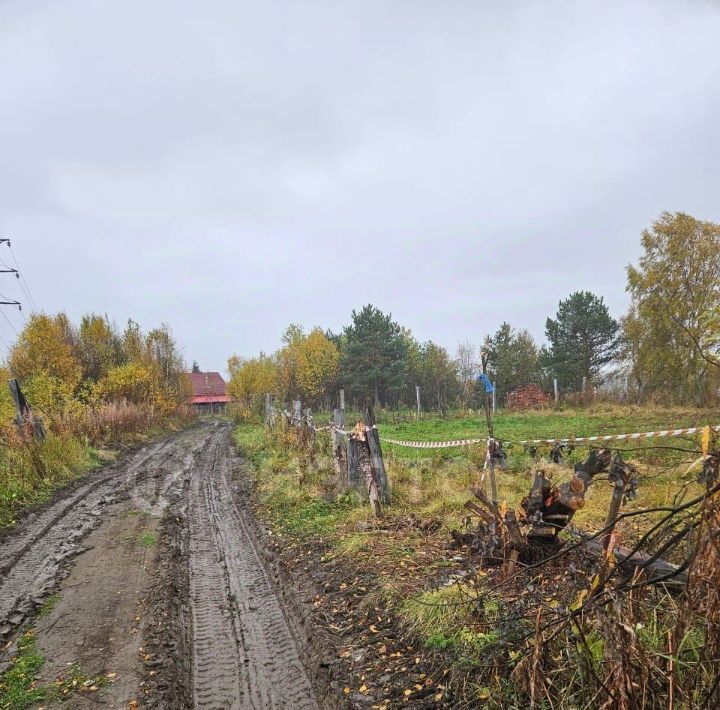 земля р-н Кольский нп Шонгуй Кильдинстрой городское поселение фото 4