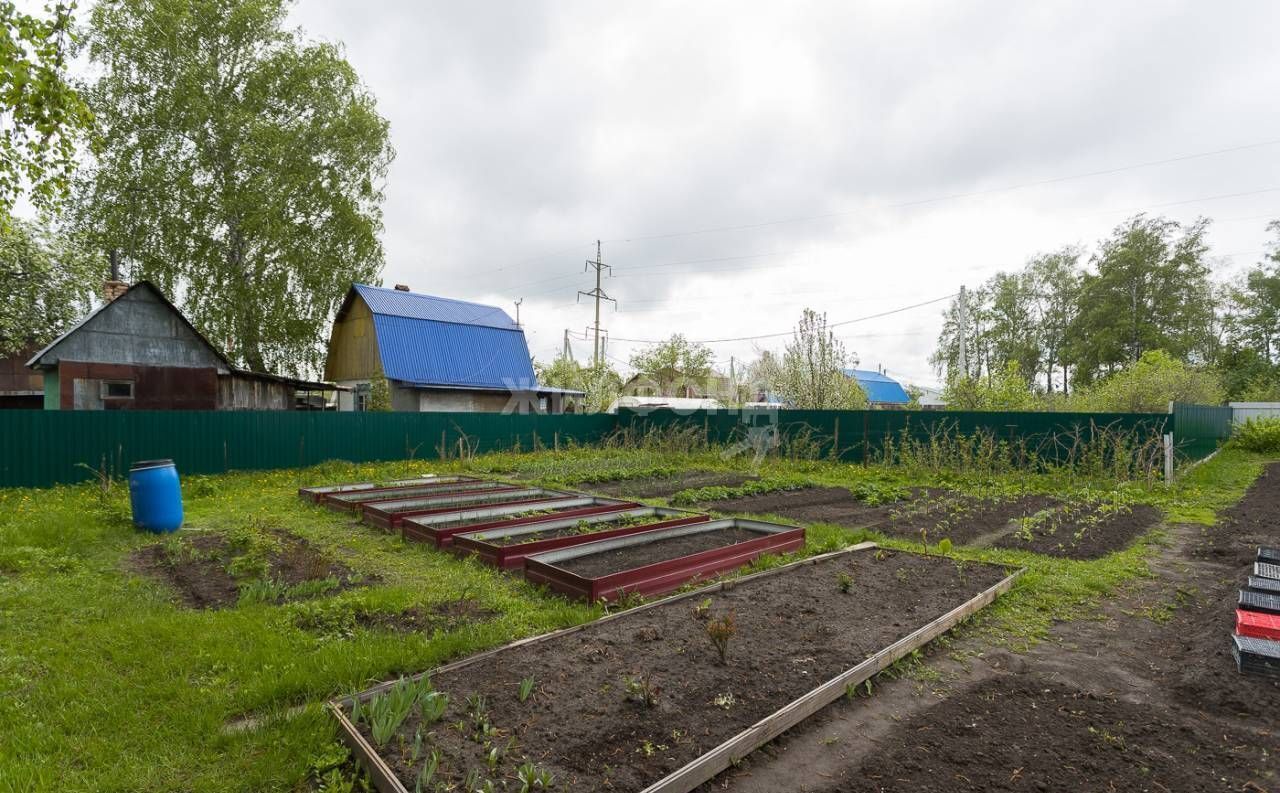 дом г Новосибирск р-н Ленинский ул Березовая садоводческий потребительский кооператив Родничок фото 15