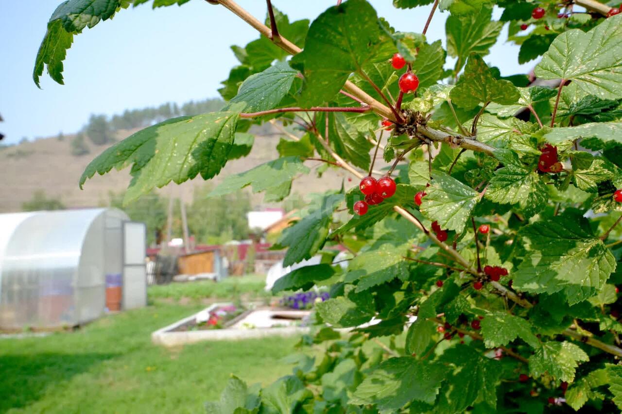 дом г Якутск Республика Саха Якутия, Просторы Тундры фото 7