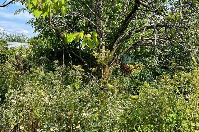 снт Виктория ул Виктория-7 городской округ Ставрополь фото