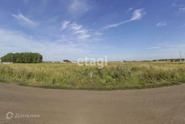 земля р-н Омский Зеленое Поле фото