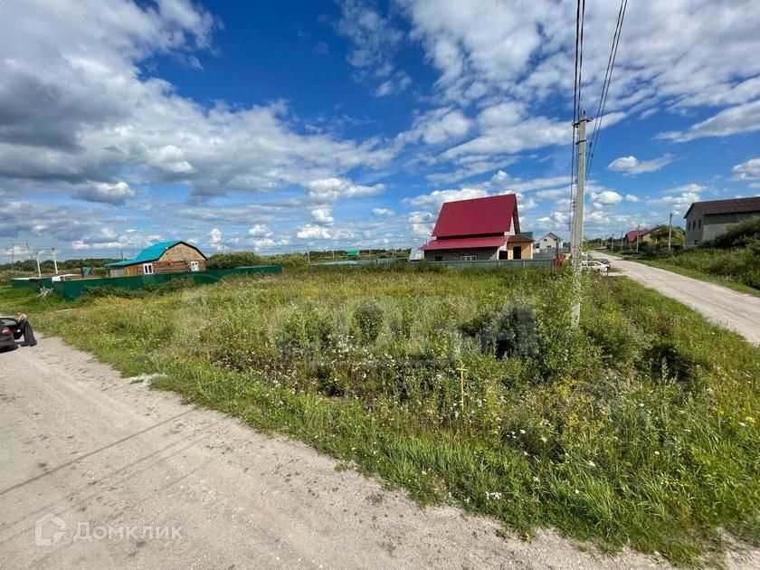 земля р-н Тюменский село Борки фото 1