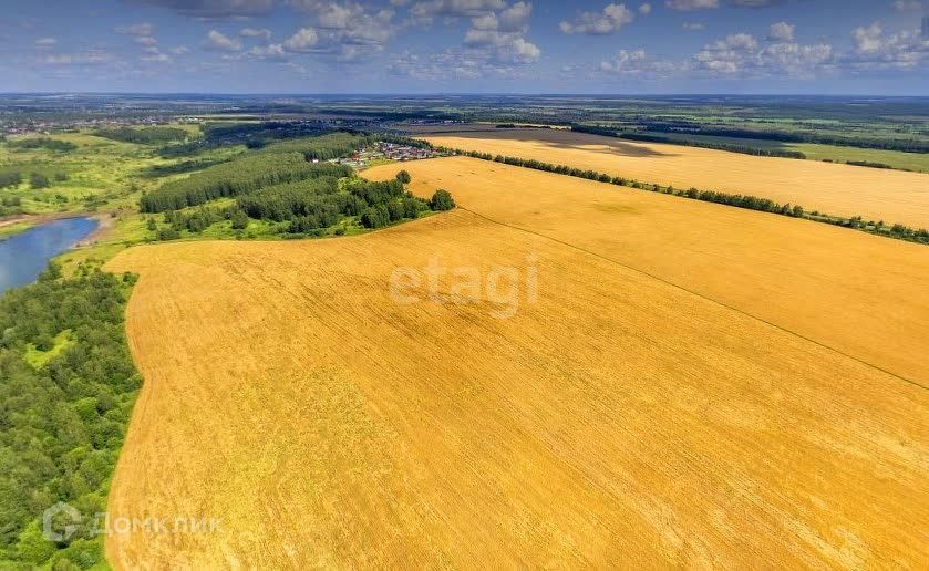 земля р-н Богородский сельский посёлок Мирный, Склад фото 5