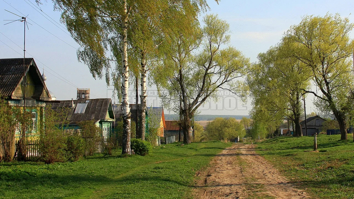 земля р-н Смоленский д Нагать Пригорское сельское поселение фото 6