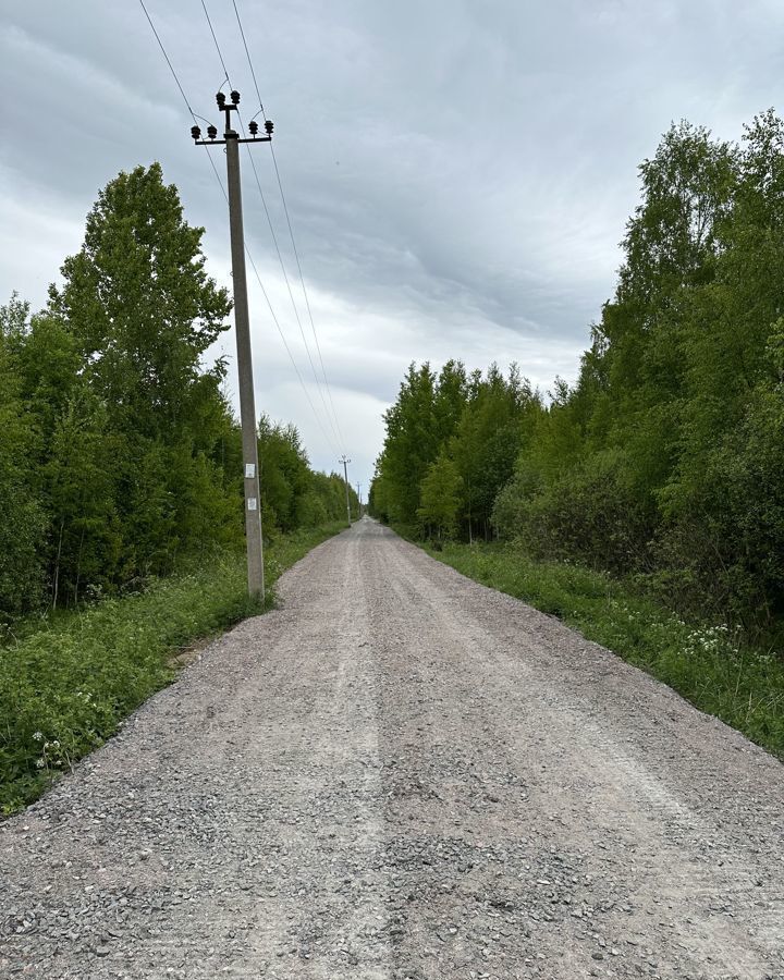 земля р-н Всеволожский д Проба Дорога жизни, 25 км, Рахьинское городское поселение, Рахья, дачное некоммерческое партнёрство фото 7